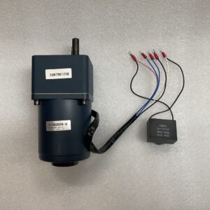 Sausage Stuffer Motor
