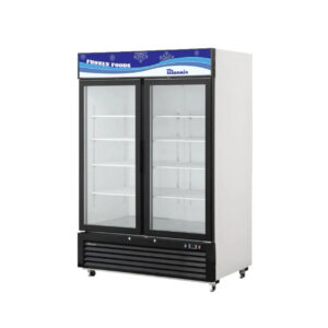 MorganGastro 49 CuFt. 2 Glass Doors Freezer (Swing), R-290 Refrigerant